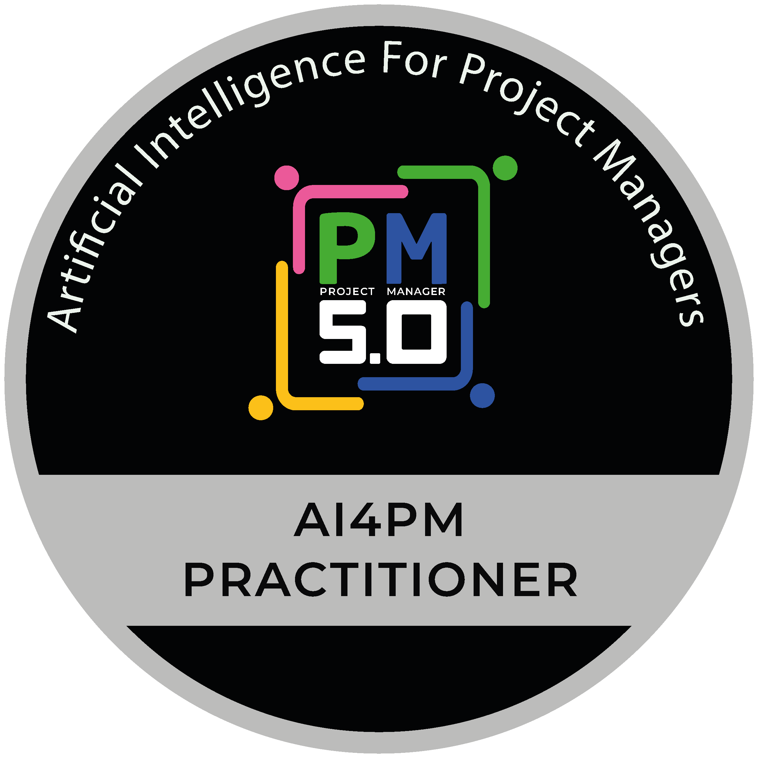 AI4PM Practitioner