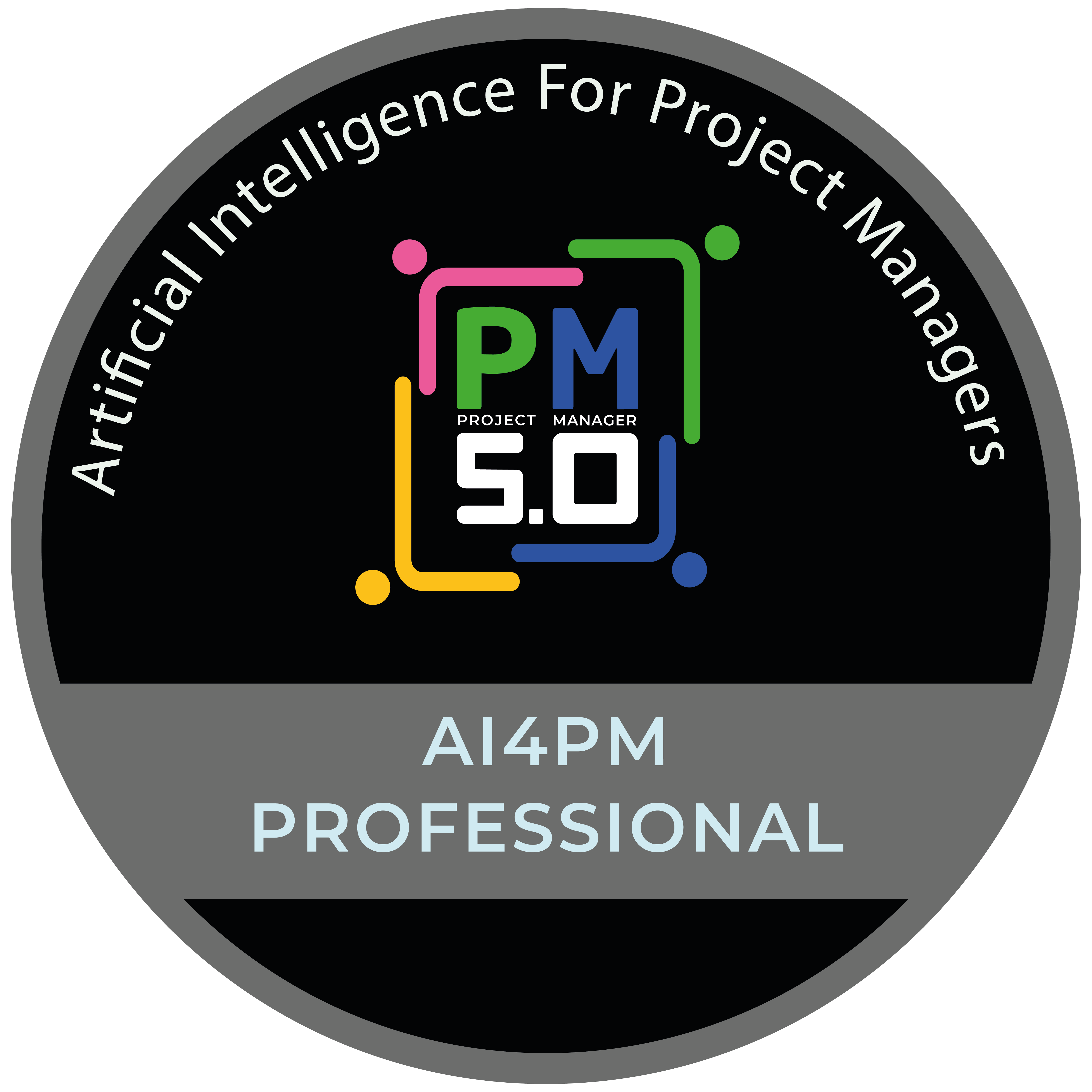 AI4PM PROFESSIONAL